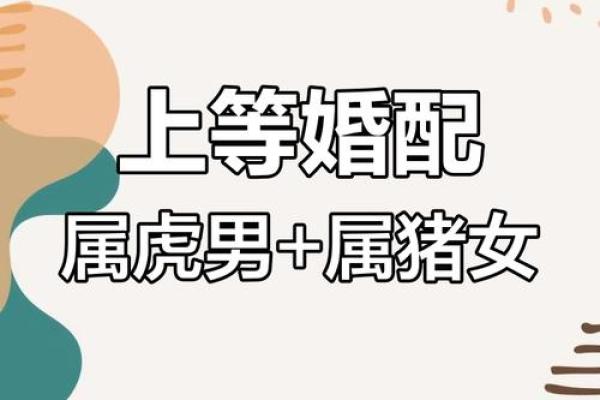 虎人婚配最佳属相 属虎人婚配对象