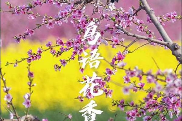 寻找与鸟语花香意境最匹配的生肖，传统文化中的自然意象解读