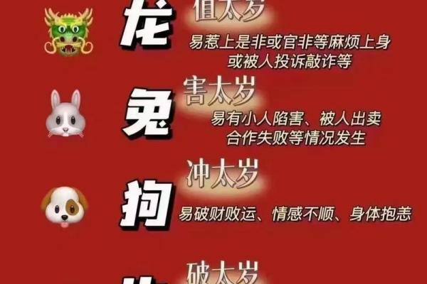 属鼠2024年犯太岁如何防范特定生肖的冲突与是非？