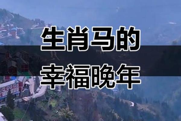 属马男孩几月出生最好 属马的男孩几月出生命苦