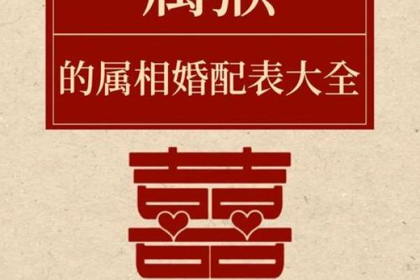 2004年属猴的属相婚配表 2004年的猴与什么属相婚配