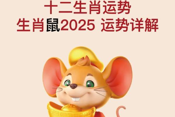 2025年属鼠人的全年运势如何财运和事业运详解