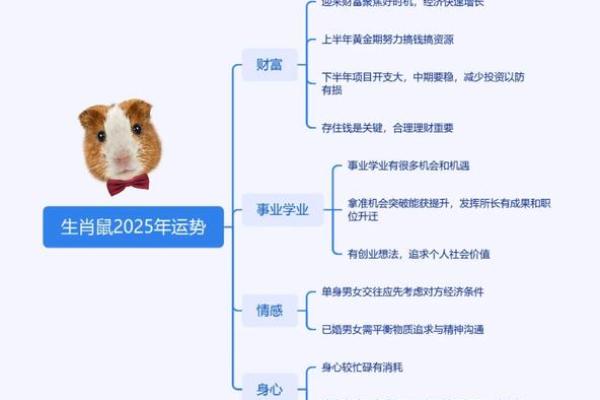 2025年属鼠人的全年运势如何财运和事业运详解