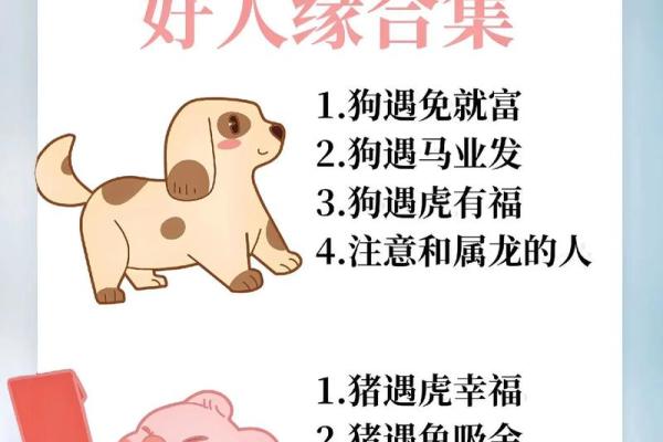 2002年属马女婚配什么属相 2002年属马女婚配什么属相男
