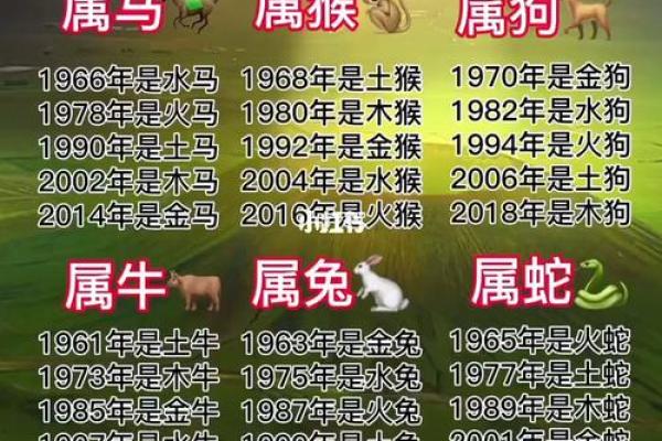 2007年属什么生肖