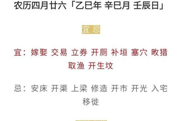 属鼠女2025年感情婚姻运势详解需要注意哪些问题