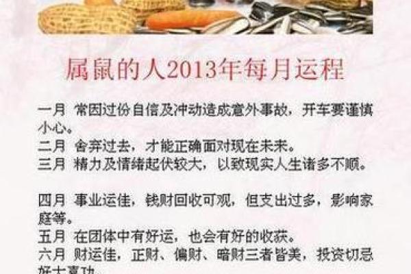 属鼠的人在2025年的虚岁和周岁分别是多少，有什么区别？