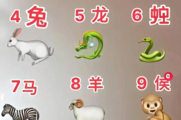 大属相和小属相的区别 十二生肖四大属相哪四个最大