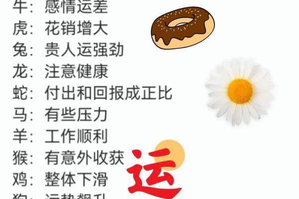 1984年属鼠人2025年财运运势如何看正财偏财