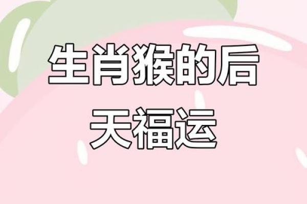 ‌三思而行打一生肖 → 猴（猴性多虑，三思后动）‌