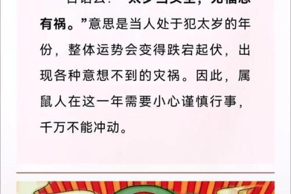 属鼠女性2025年犯太岁需要注意哪些具体事项和禁忌