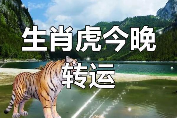 属虎是哪年出生的 属虎是哪年出生的今年多大