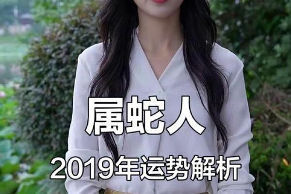 属蛇2019年运势(属蛇2019年运势运程) 属蛇2019年运势(属蛇2019年运势运程)