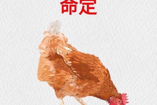 越老越命苦的三大生肖 越老越命苦的三大生肖是什么