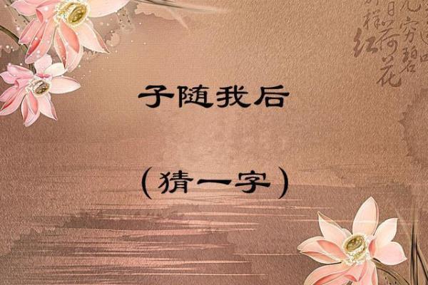 添油加醋打一生肖的谜底解析，最佳答案和理由是什么？