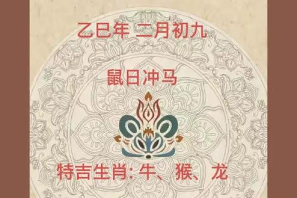 1972年属鼠男性2025年全年运势详解，事业财运健康感情完整解析