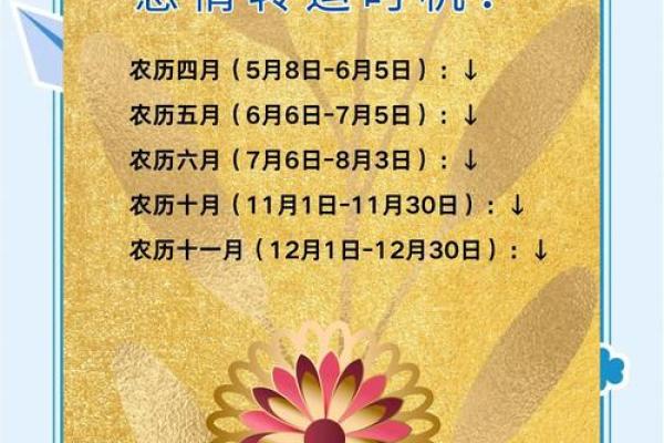 1996年属鼠的人2024年运势详解及每月运程