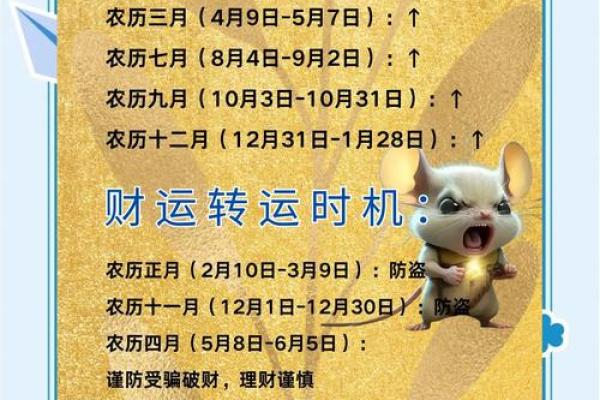 1996年属鼠的人2024年运势详解及每月运程