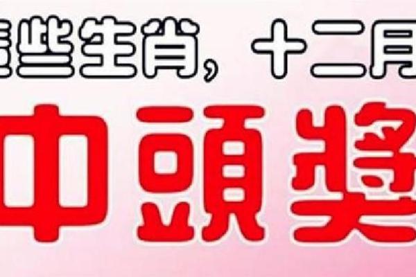 今晚必中三大生肖 今晚最准确生肖