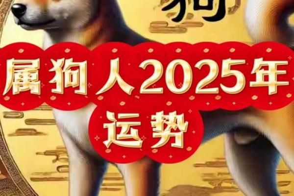 2025年属狗女在事业和财运方面会有哪些重大惊喜和突破？