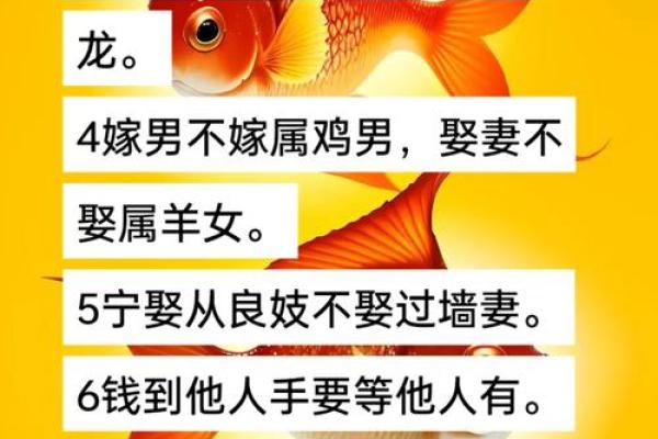 属羊跟属鸡的合不合 属羊跟属鸡的合不合