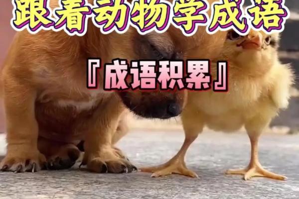 赶尽杀绝着个成语通常用来形容哪种动物或现象？