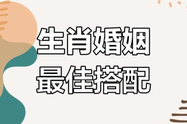 哪个生肖最适合先成家后立业，生肖配对与婚姻事业运势解析？