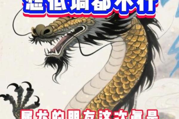 女方属龙出嫁忌四个属相 属龙女生结婚避忌的属相