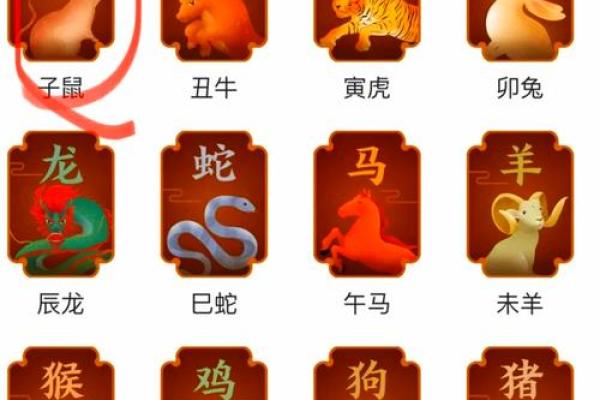72年出生的生肖鼠今年财运运势详解，需要注意哪些方面？