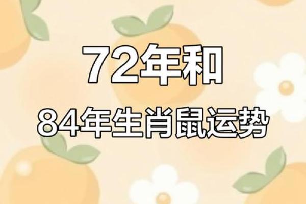72年出生的生肖鼠今年财运运势详解，需要注意哪些方面？