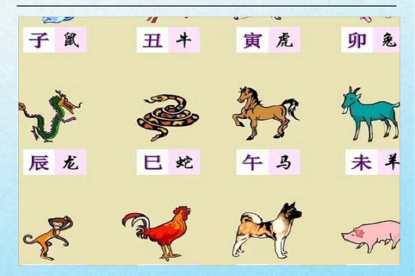 火急火燎的做事风格在十二生肖中代表什么动物？