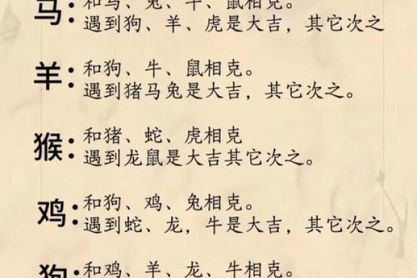 男鼠女兔子属相合不合 男鼠女兔合不合婚
