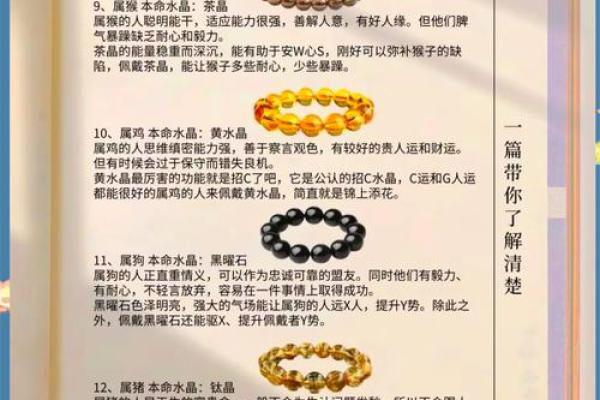2025年属鼠的人是什么命格五行属什么
