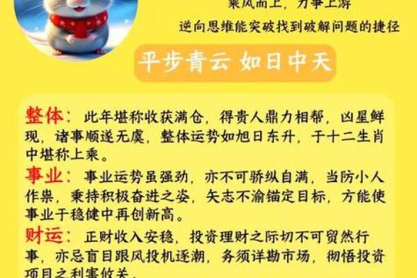 2025年属鼠的人是什么命格五行属什么