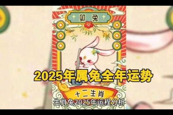 2025属兔大忌颜色的衣服 2020年属兔的最忌讳什么颜色