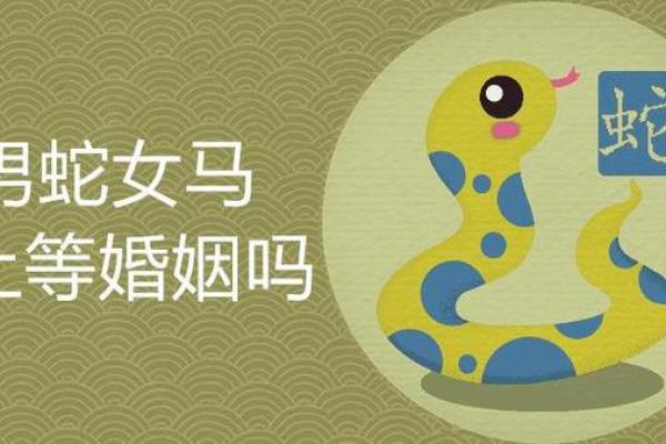 蛇男蛇女属相合不合 男蛇女蛇千万别在一起