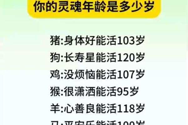 十二生肖中排行第一的大哥究竟是指哪个生肖动物呢