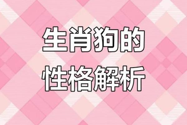82年狗最佳婚配属相 82年狗最佳婚配属相女