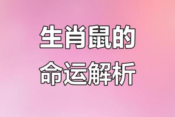 2024年60年出生属鼠者每月财运健康事业感情全面运势分析