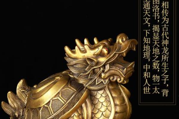 什么属相不能摆放龙 什么属相不能摆放龙龟摆件