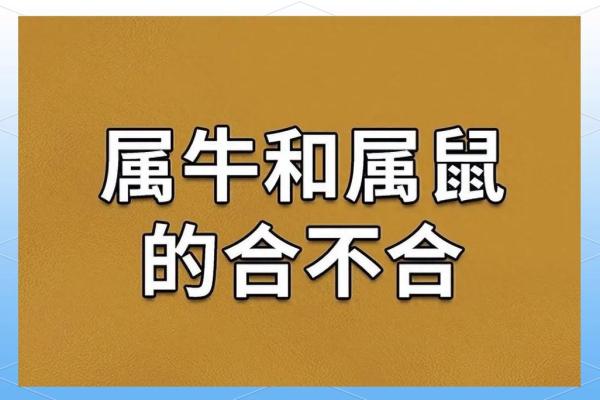 男羊女猴的属相合不合 男羊女猴属于上等婚姻