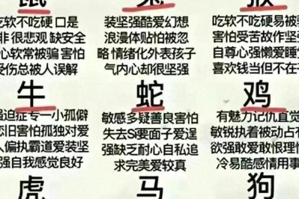 二二二四指什么生肖 二零二四年十二生肖表