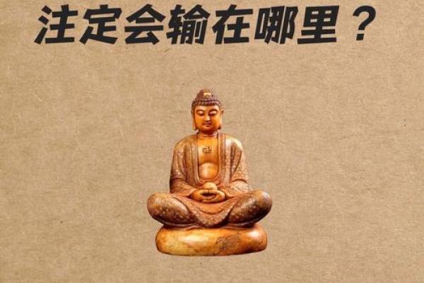 老鼠男和龙女属相合不合 老鼠男和龙女属相合不合财运