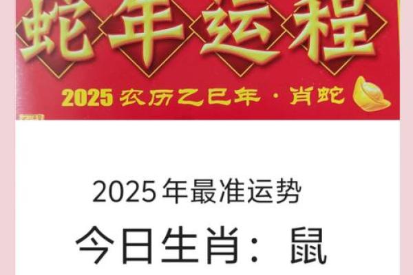 1984年出生属鼠人2025年事业财运健康感情全方位运势解析