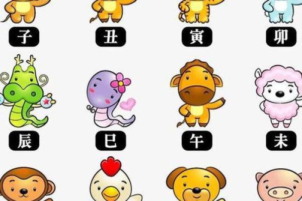 以正视听所指的生肖究竟是哪一个，权威解释来了