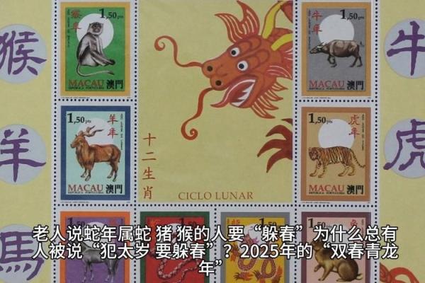属猪和蛇做生意合不合财 属猪人和属蛇人做生意好吗