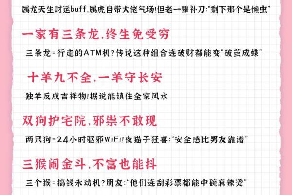 逗留不进打最准确一个生肖 逗留不进打一生肖正确答案
