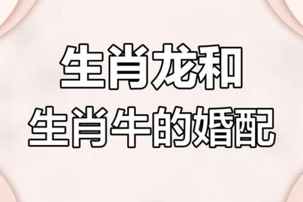 属牛的婚配属相 属牛婚配属相相生相克