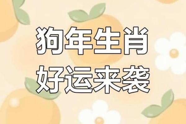 属狗的人2025年事业上会有哪些贵人相助以及如何把握机遇？