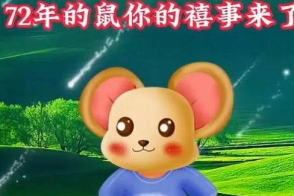1972年出生的属鼠人2024年健康运程需要注意哪些方面？